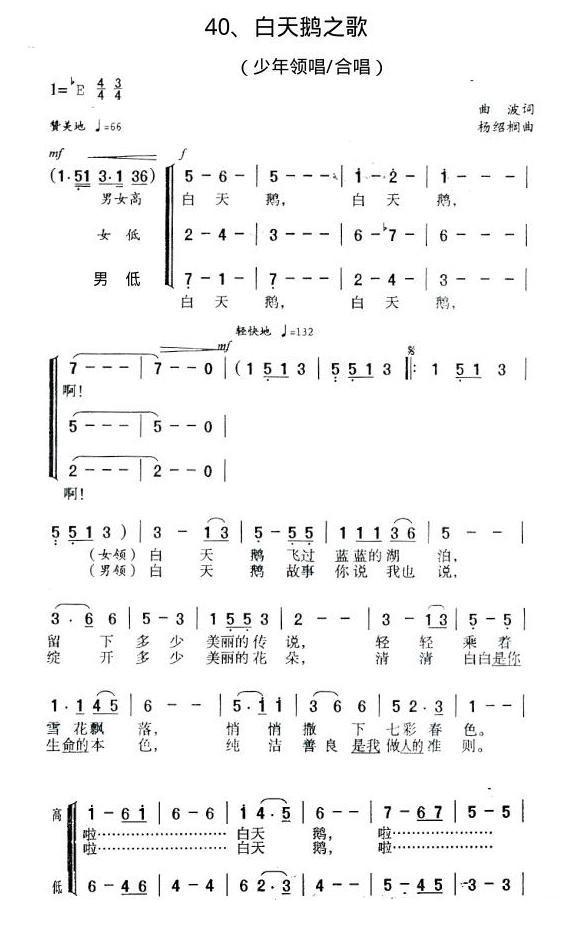 白天鹅之歌