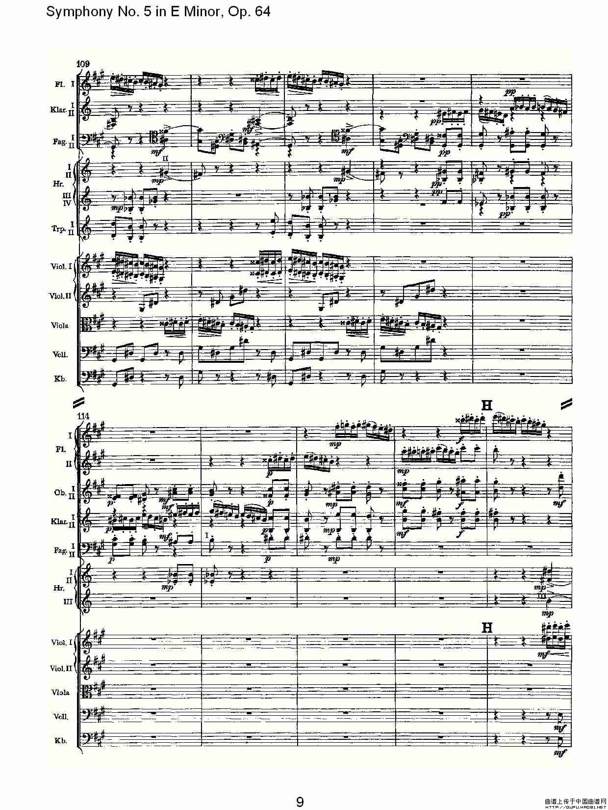 Symphony No. 5 in E Minor, Op.（64 E小调第五交响曲 Op