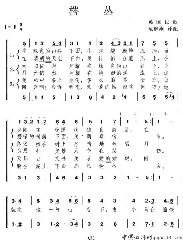 棽丛（英）