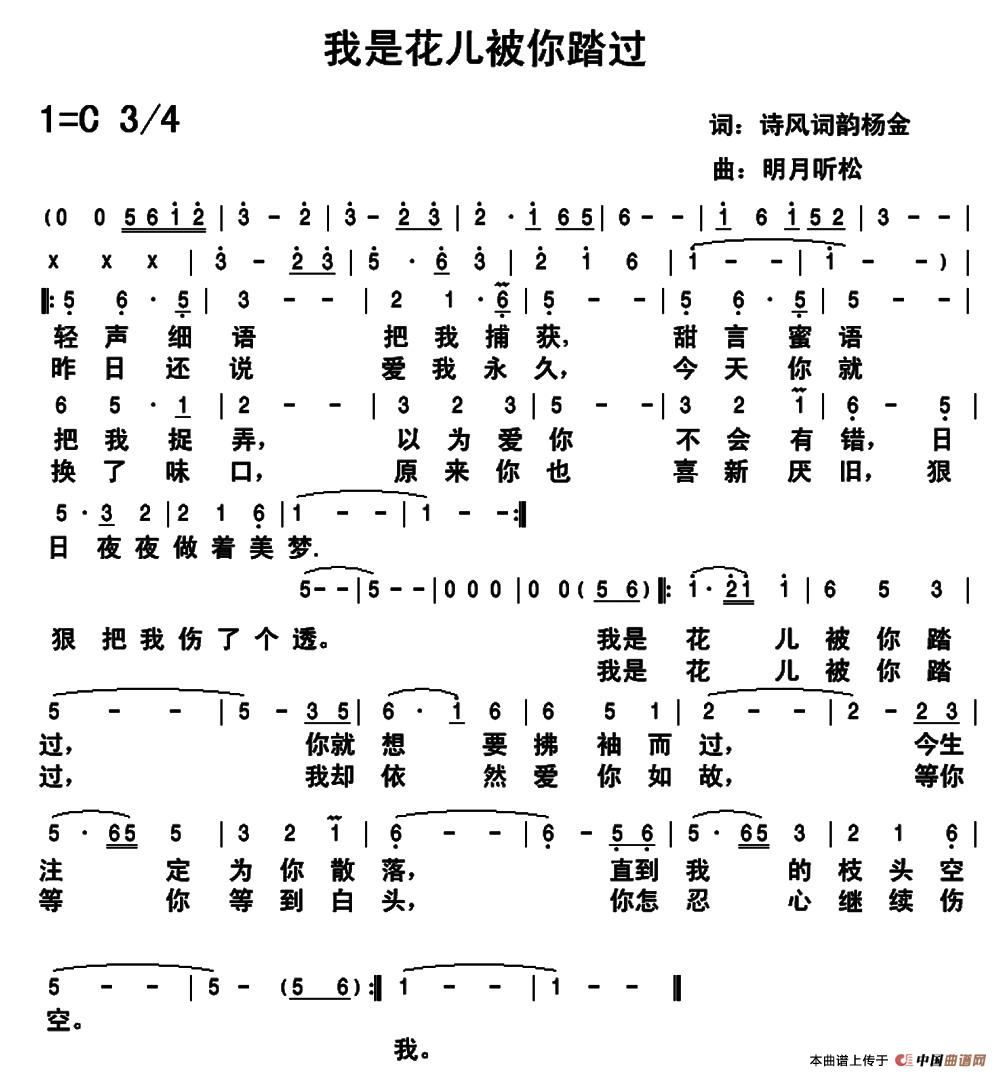 我是花儿被你踏过