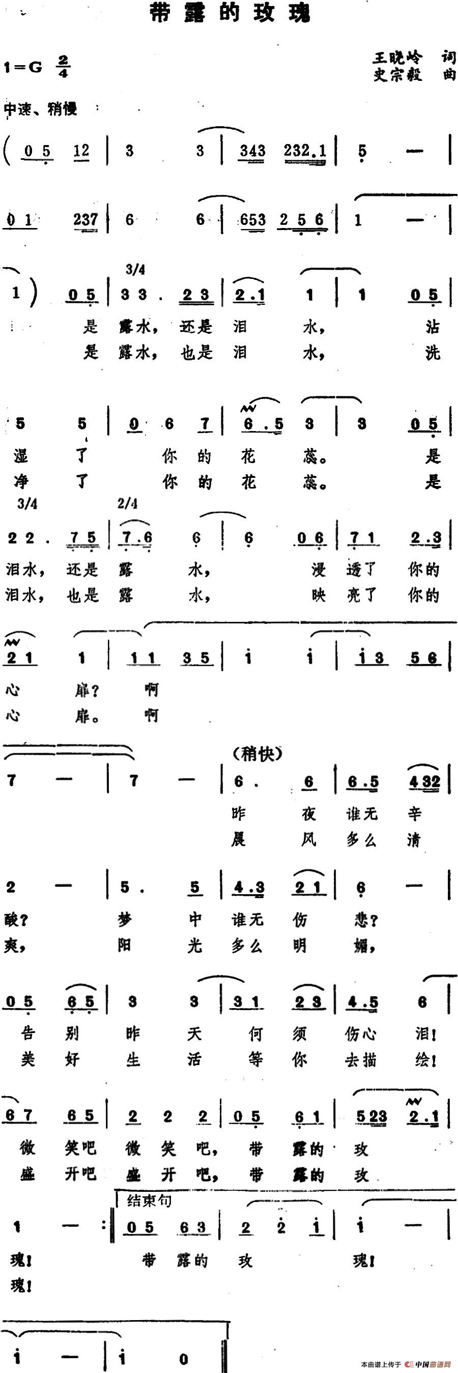 带露的玫瑰（王晓岭词 史宗毅曲）