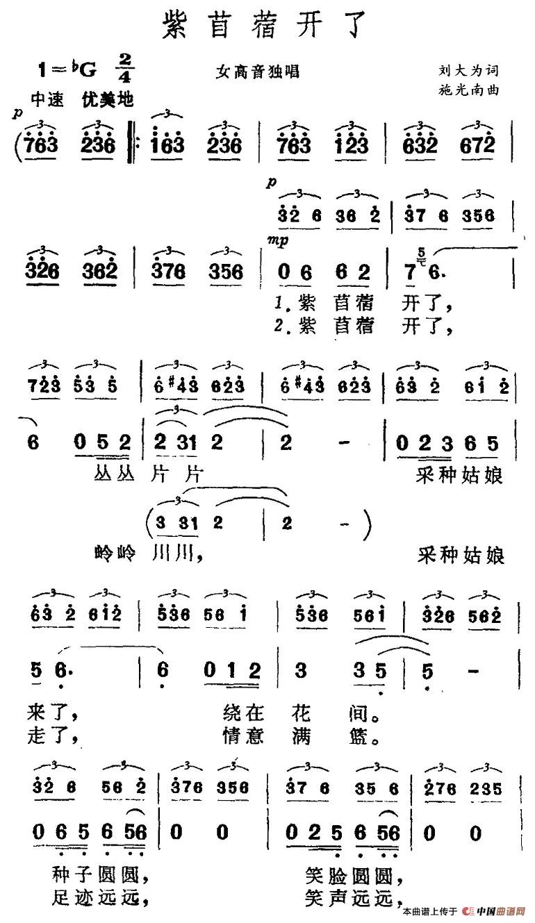 紫苜蓿开了