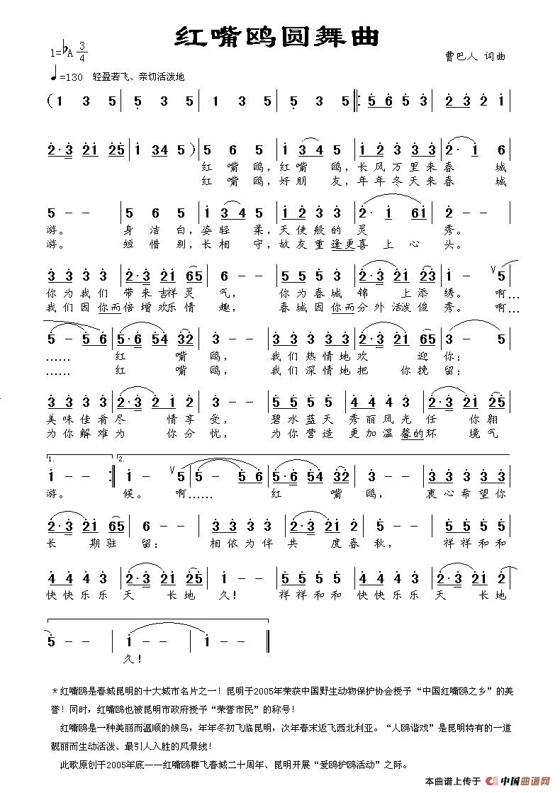 红嘴鸥圆舞曲