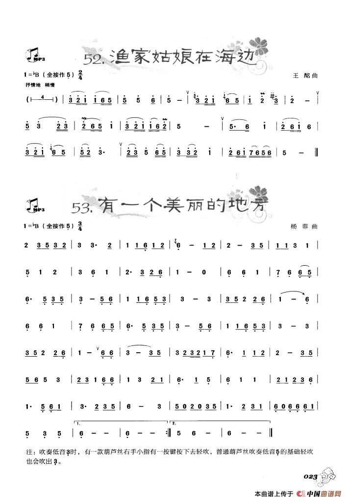 葫芦丝曲精选：渔家姑娘在海边 有一个美丽的地