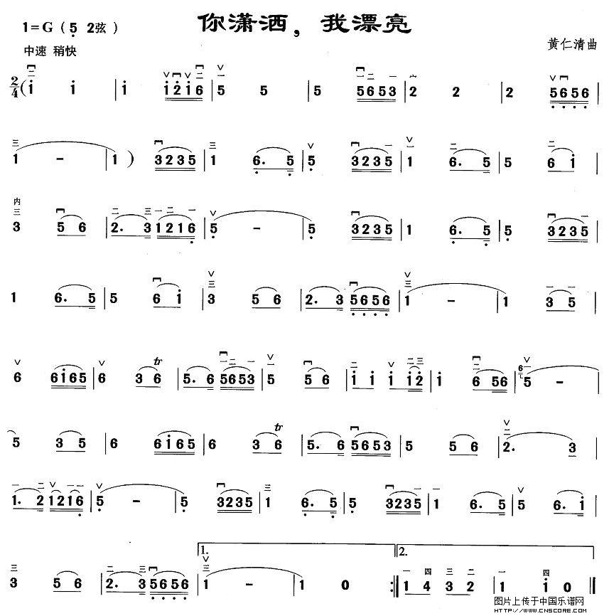 曲谱名：你潇洒，我漂亮二胡谱