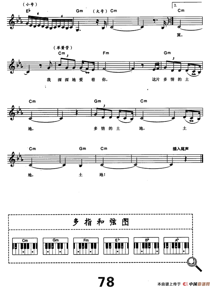 多情的土地（电子琴弹唱谱）