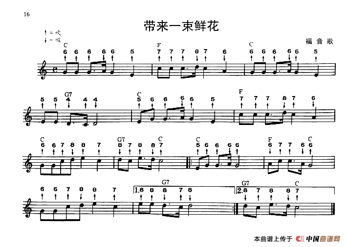 带来一束鲜花（布鲁斯）