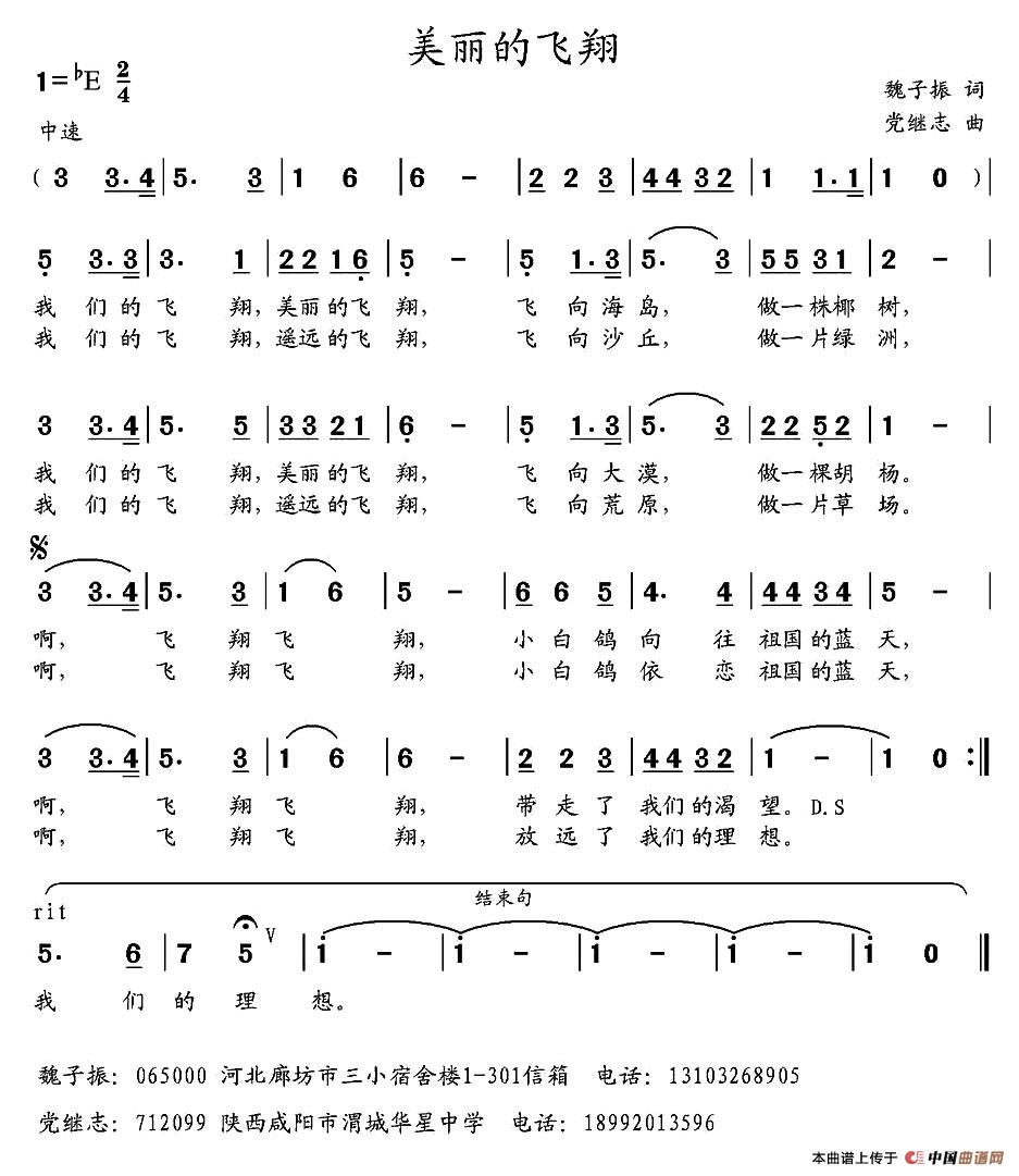 美丽的飞翔