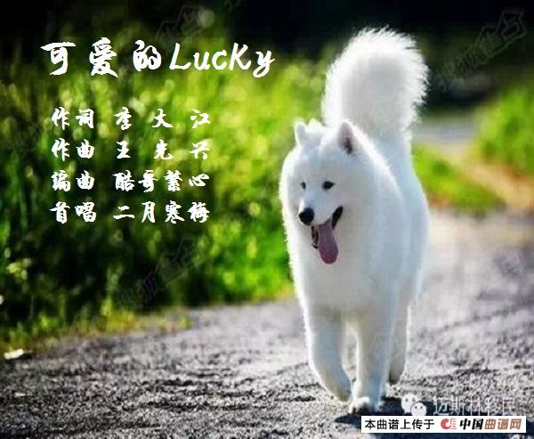 可爱的Lucky