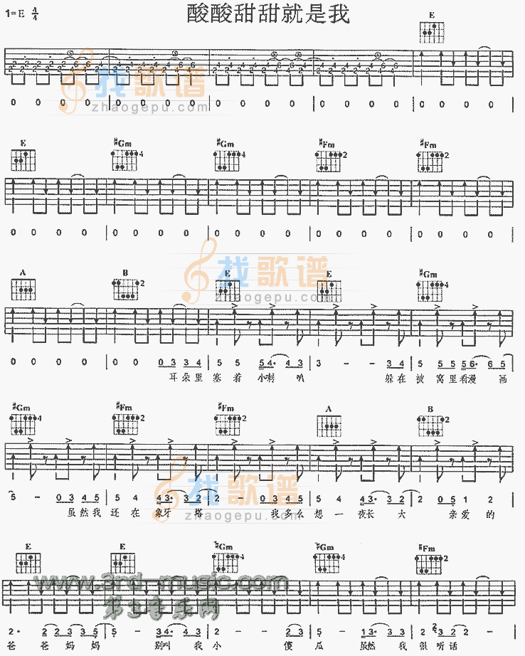 酸酸甜甜就是我吉他谱