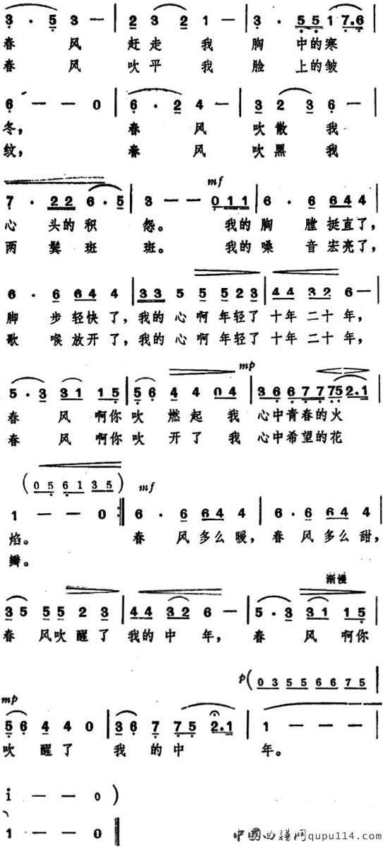 春风吹醒了我的中年