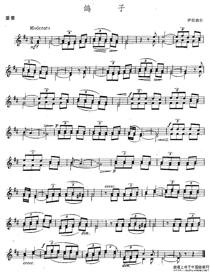 鸽子（重奏）小提琴谱