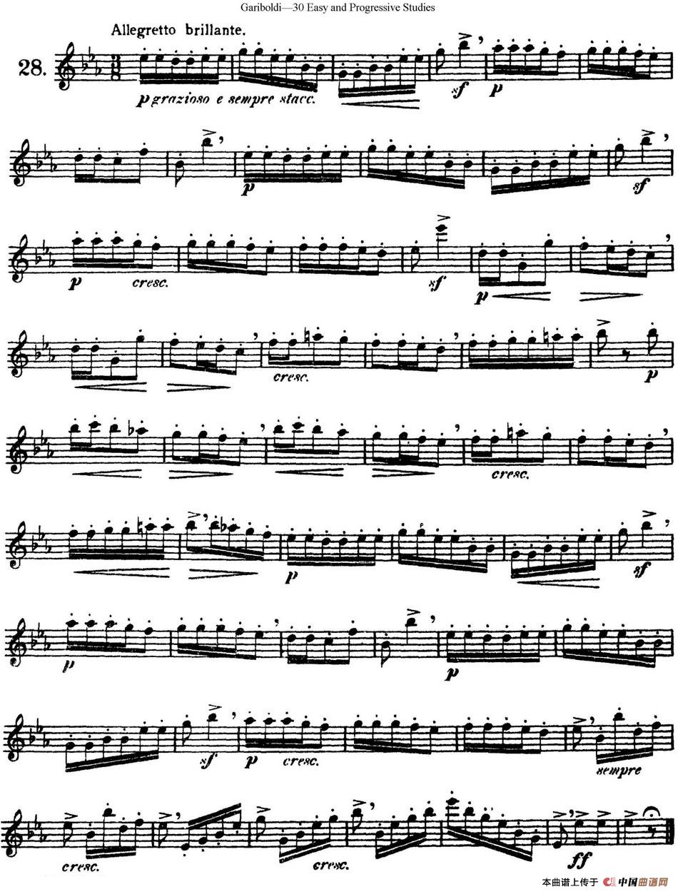 三十首基础及提高练习曲（NO.28）长笛谱