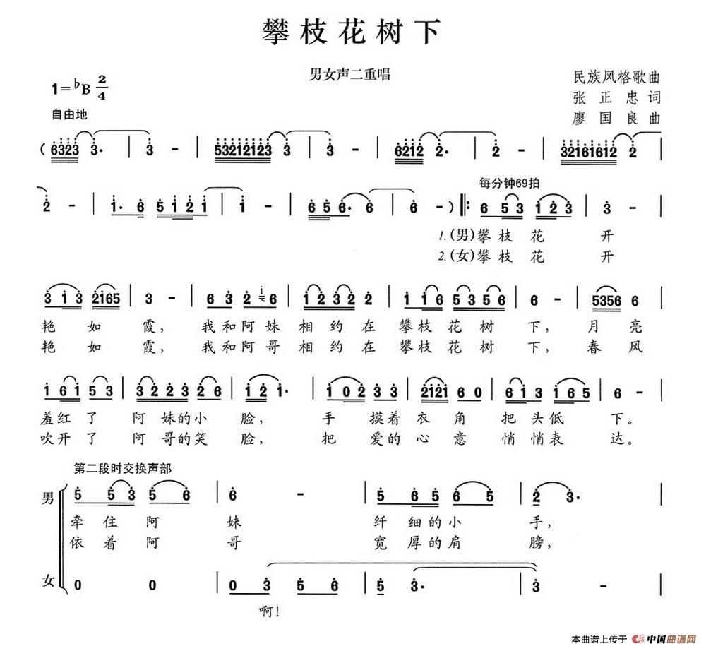 攀枝花树下