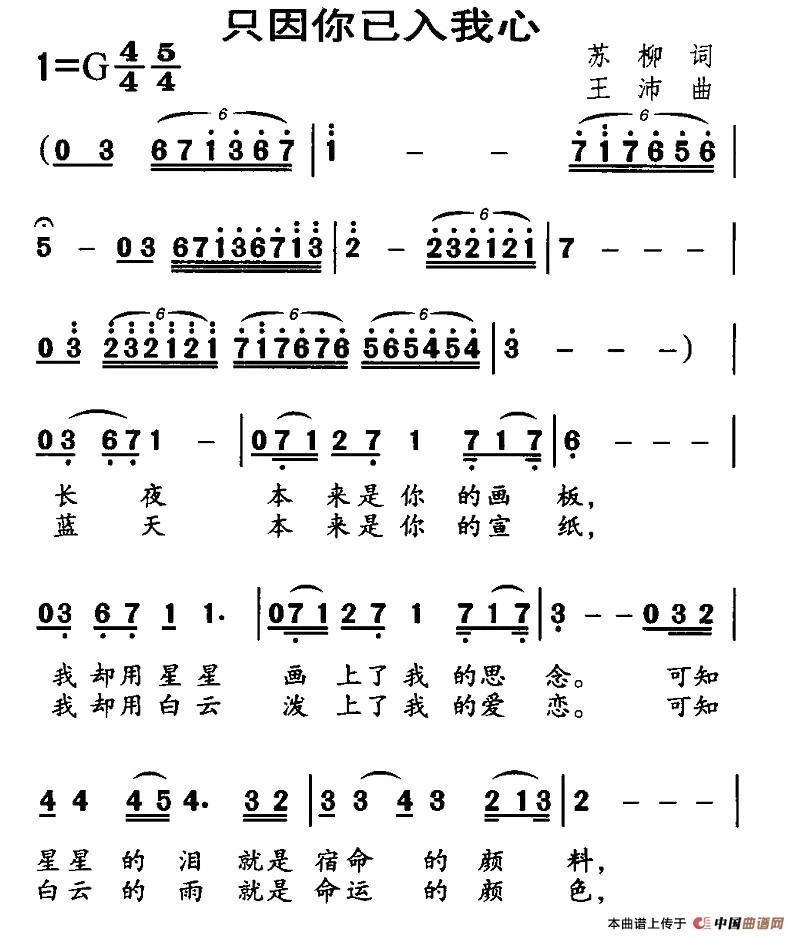 只因你已入我心