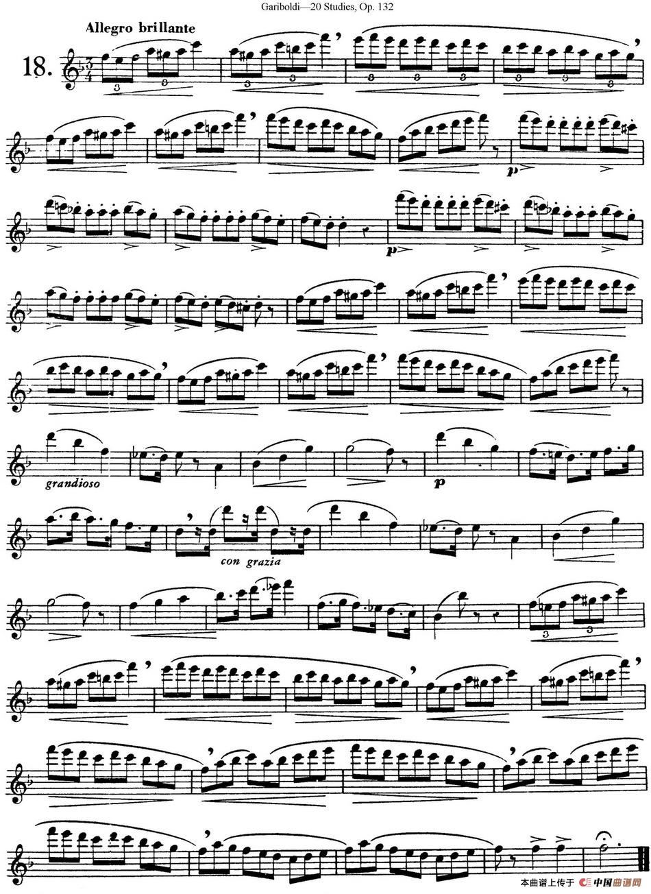 二十首练习曲作品132号之18长笛谱