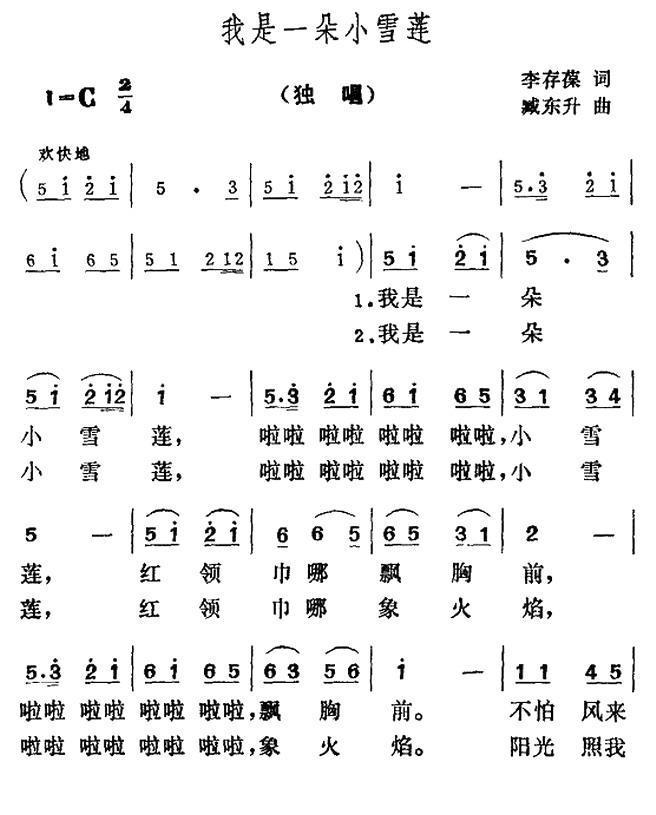 我是一朵小雪莲
