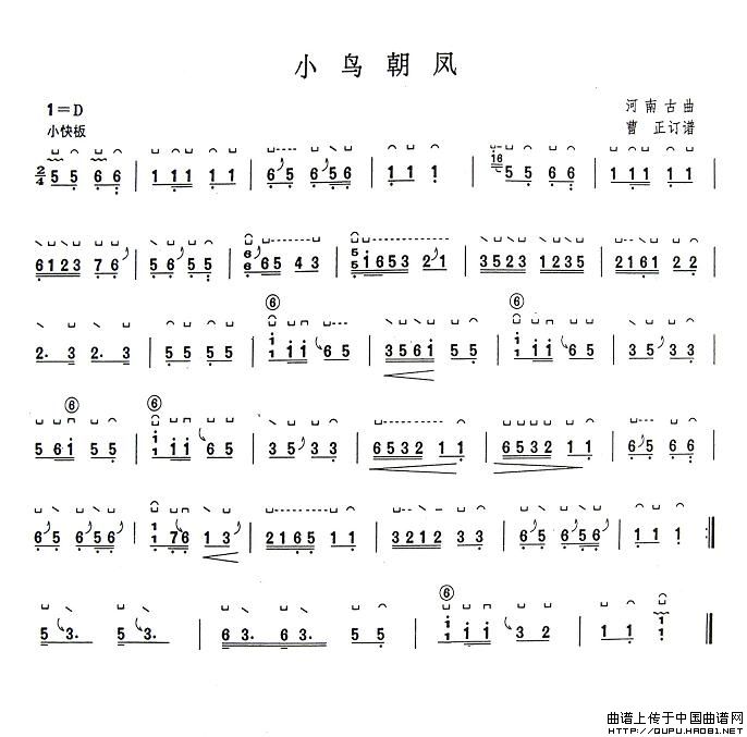 小鸟朝凤