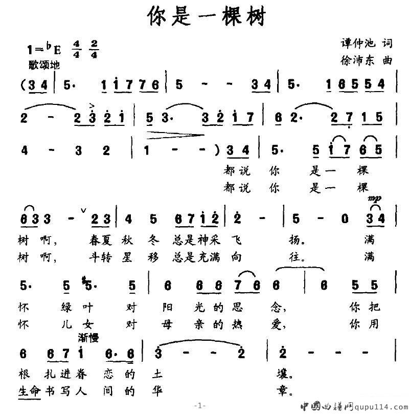 戴玉强《你是一棵树》简谱