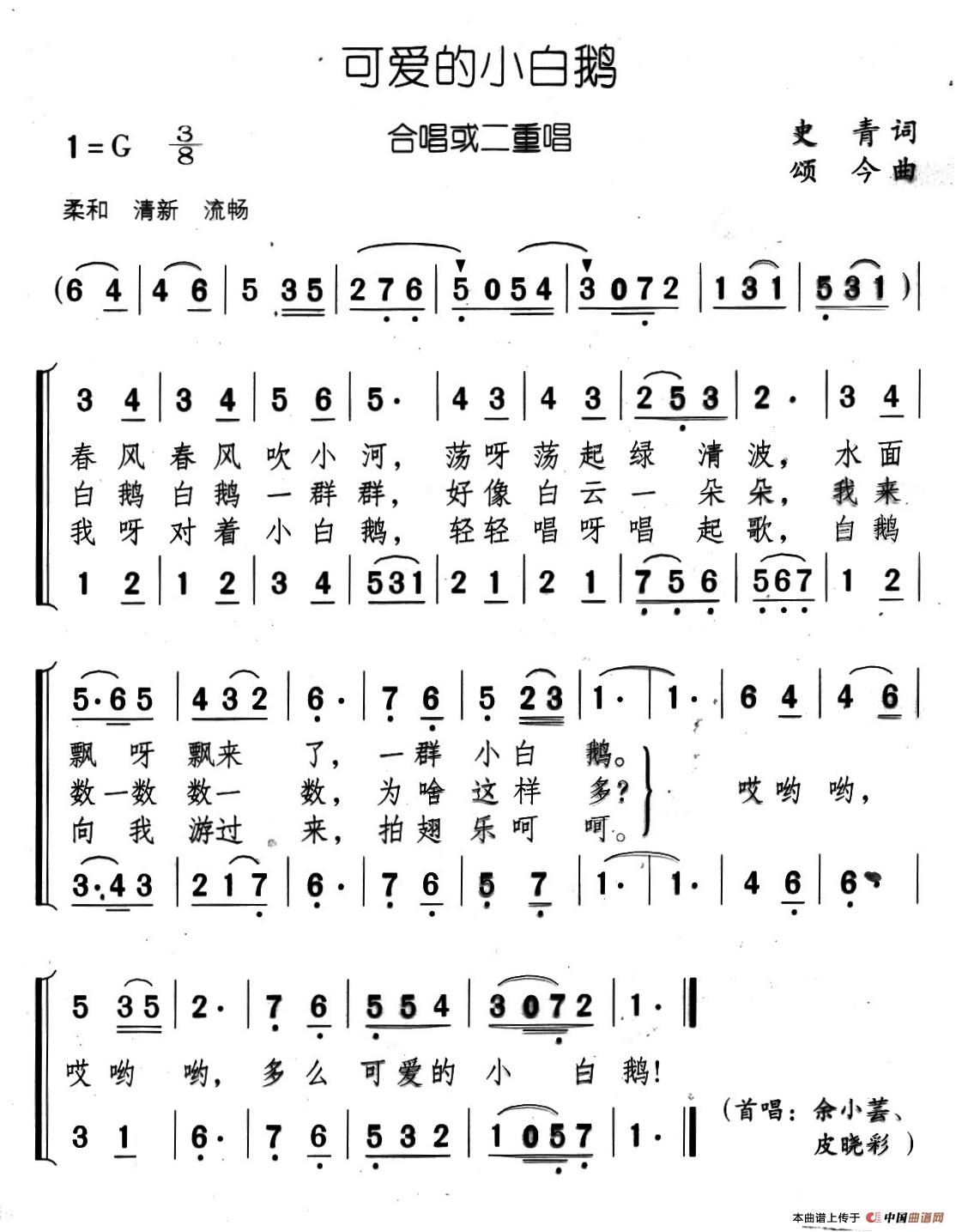 可爱的小白鹅