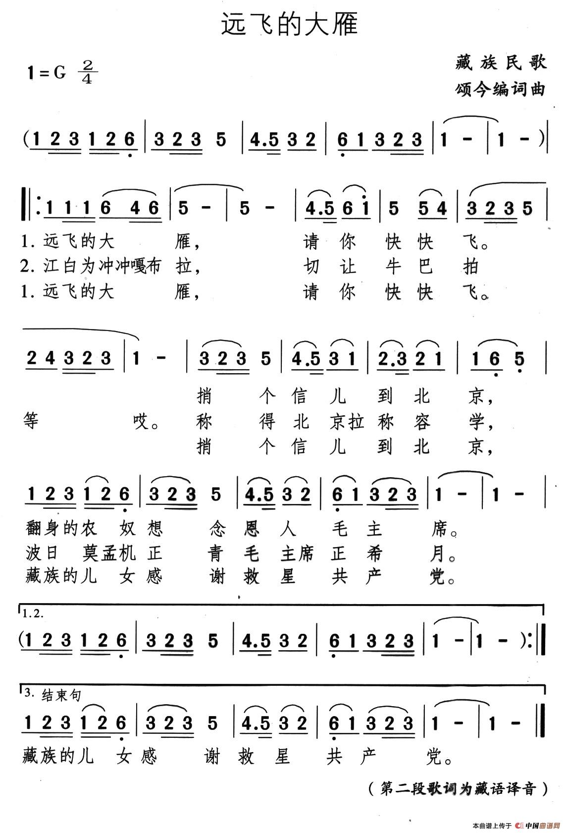 远飞的大雁（藏族民歌、颂今编词曲）