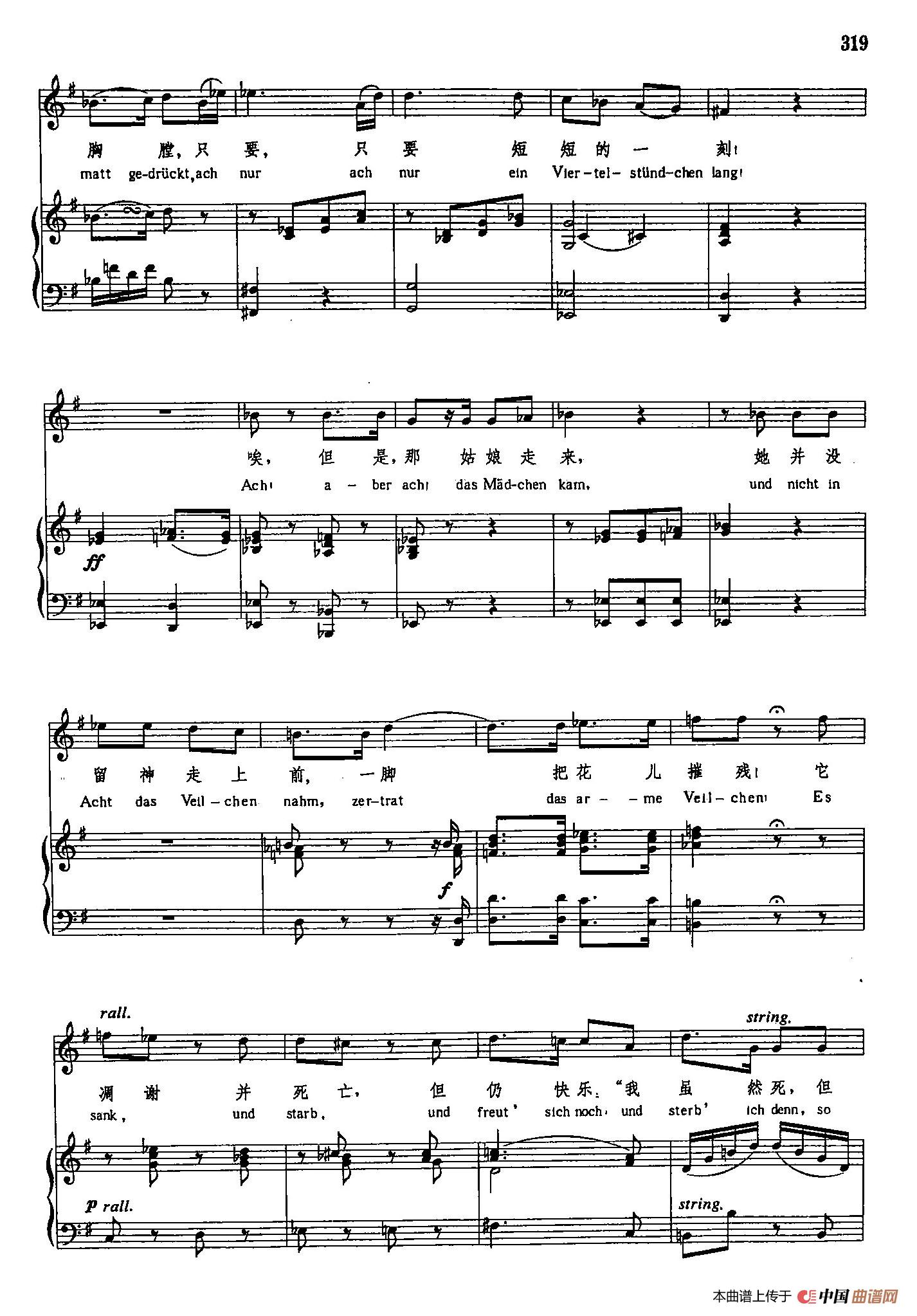 声乐教学曲库3-[奥]66紫罗兰（正谱）