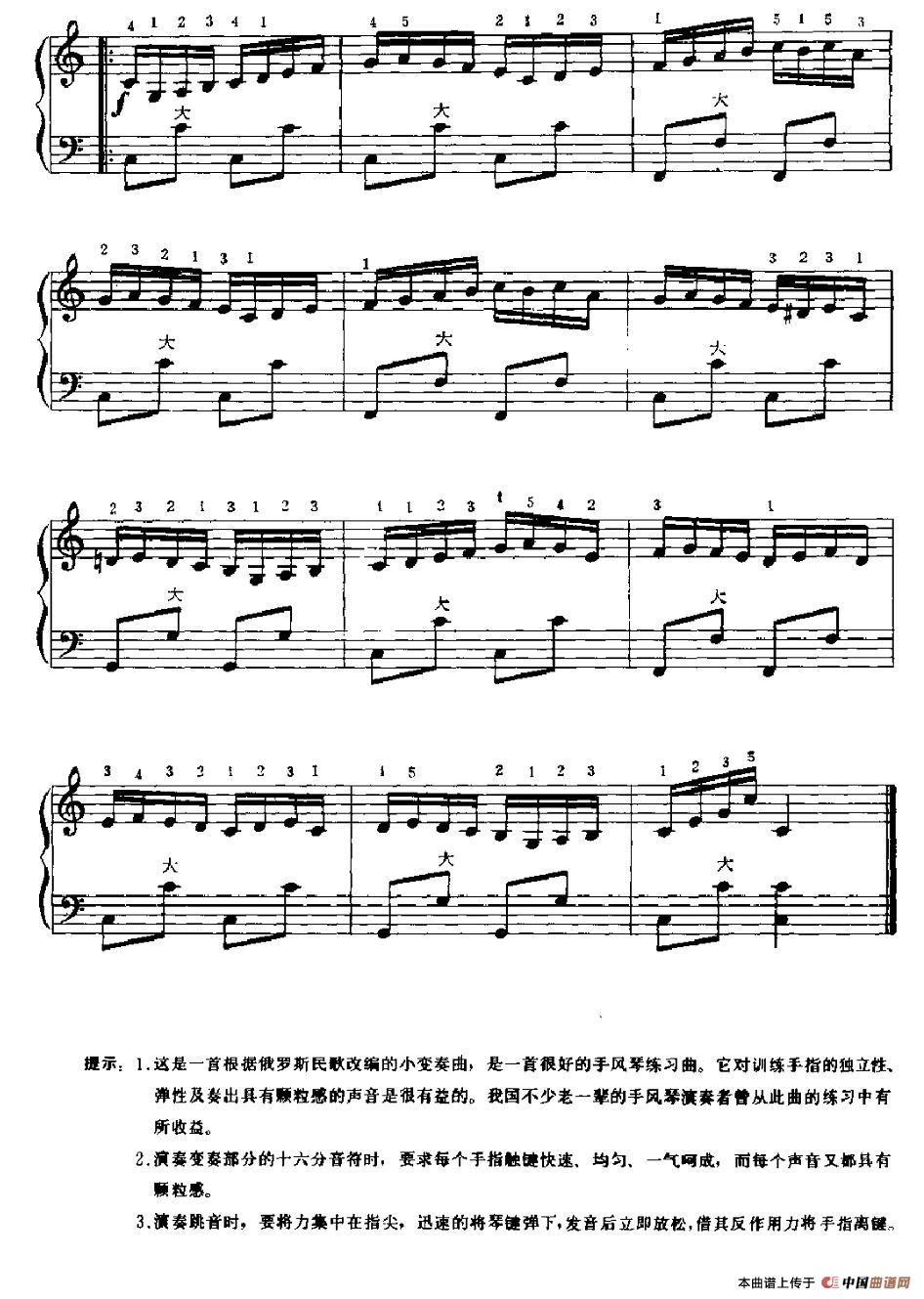 小酸莓果（6个版本）