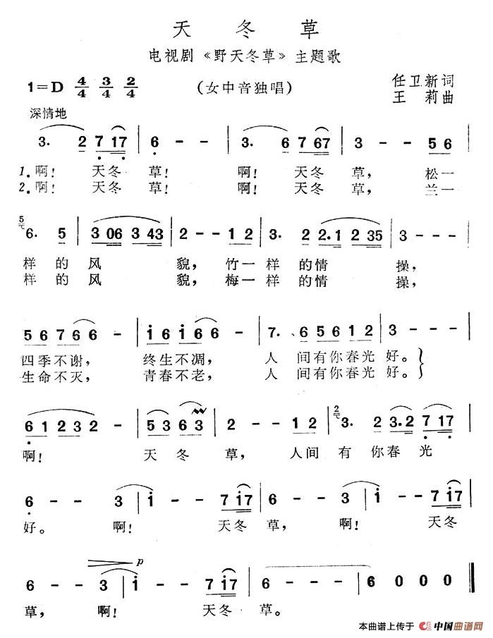 天冬草（电视连续剧《野田冬草》主题歌）