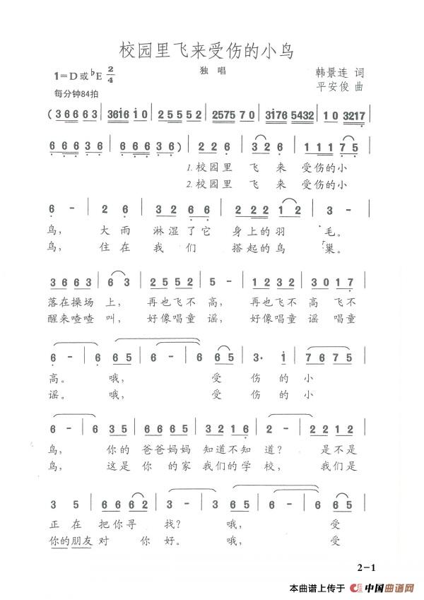 校园里飞来受伤的小鸟