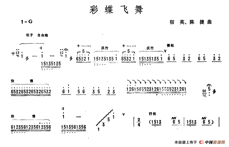 彩蝶飞舞