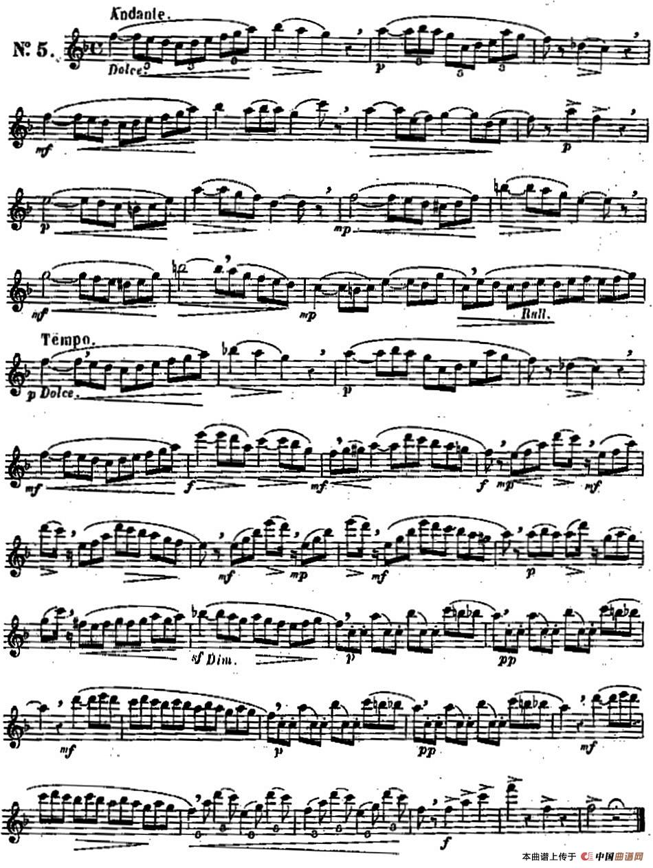 二十首练习曲作品131号（NO.5）长笛谱
