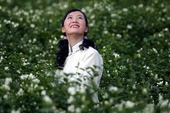 茉莉花钢琴谱 送来春日茉莉香，唤醒清晨