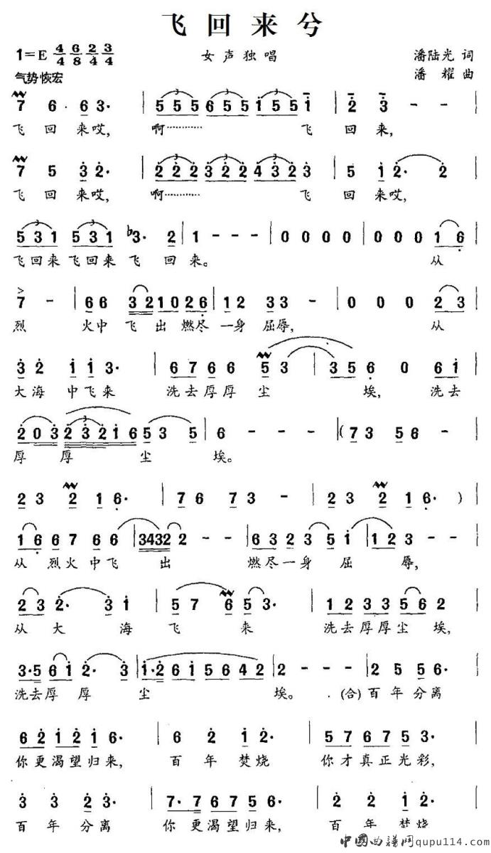 秦芳《飞回来兮》简谱