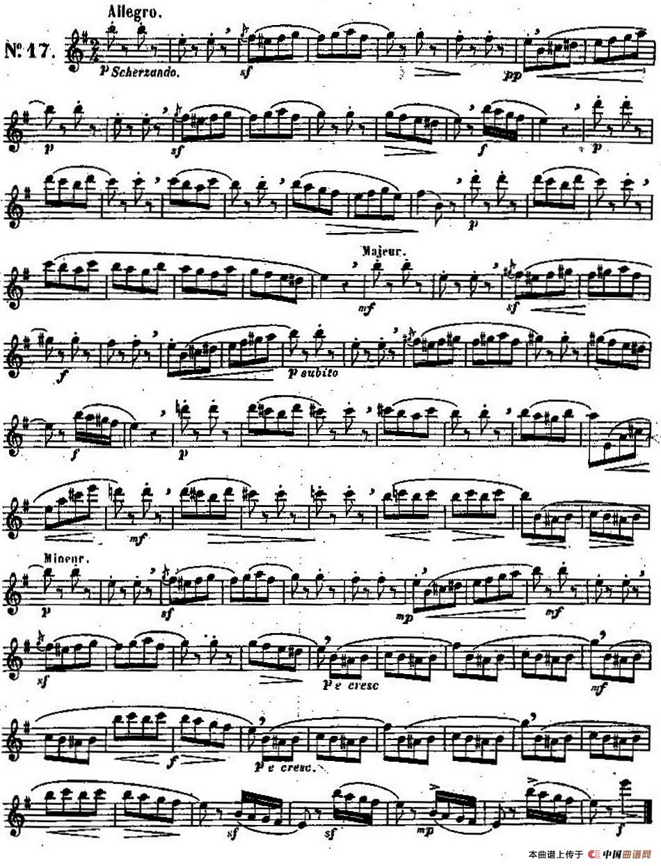 二十首练习曲作品131号（NO.17）长笛谱