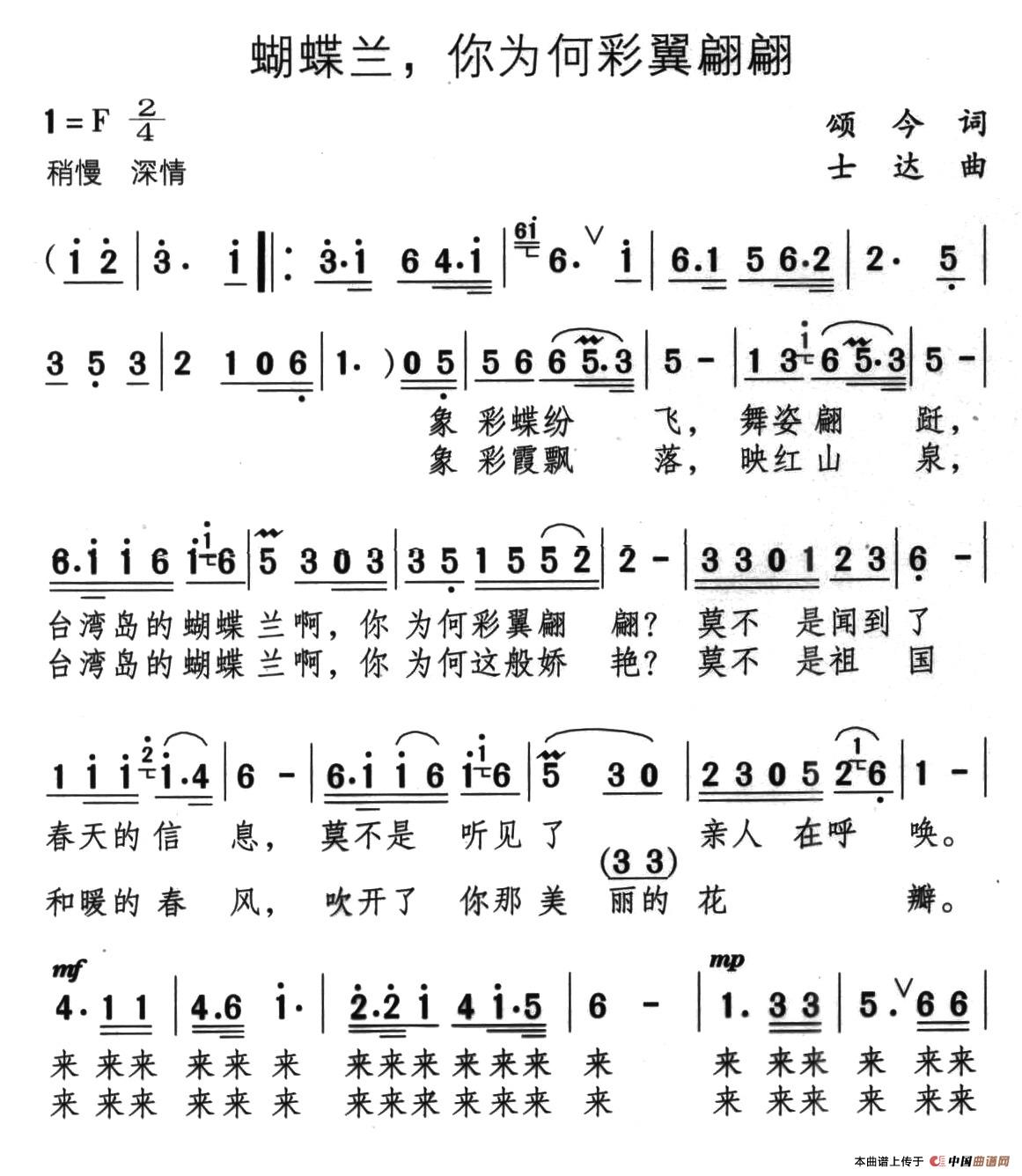 蝴蝶兰，你为何彩翼翩翩