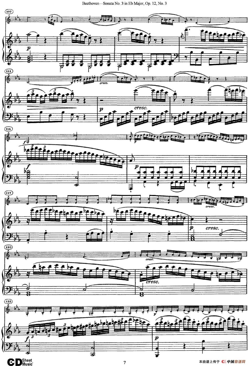 Violin Sonata No.3 in Eb Major Op.12 No.3（小提琴+钢琴伴