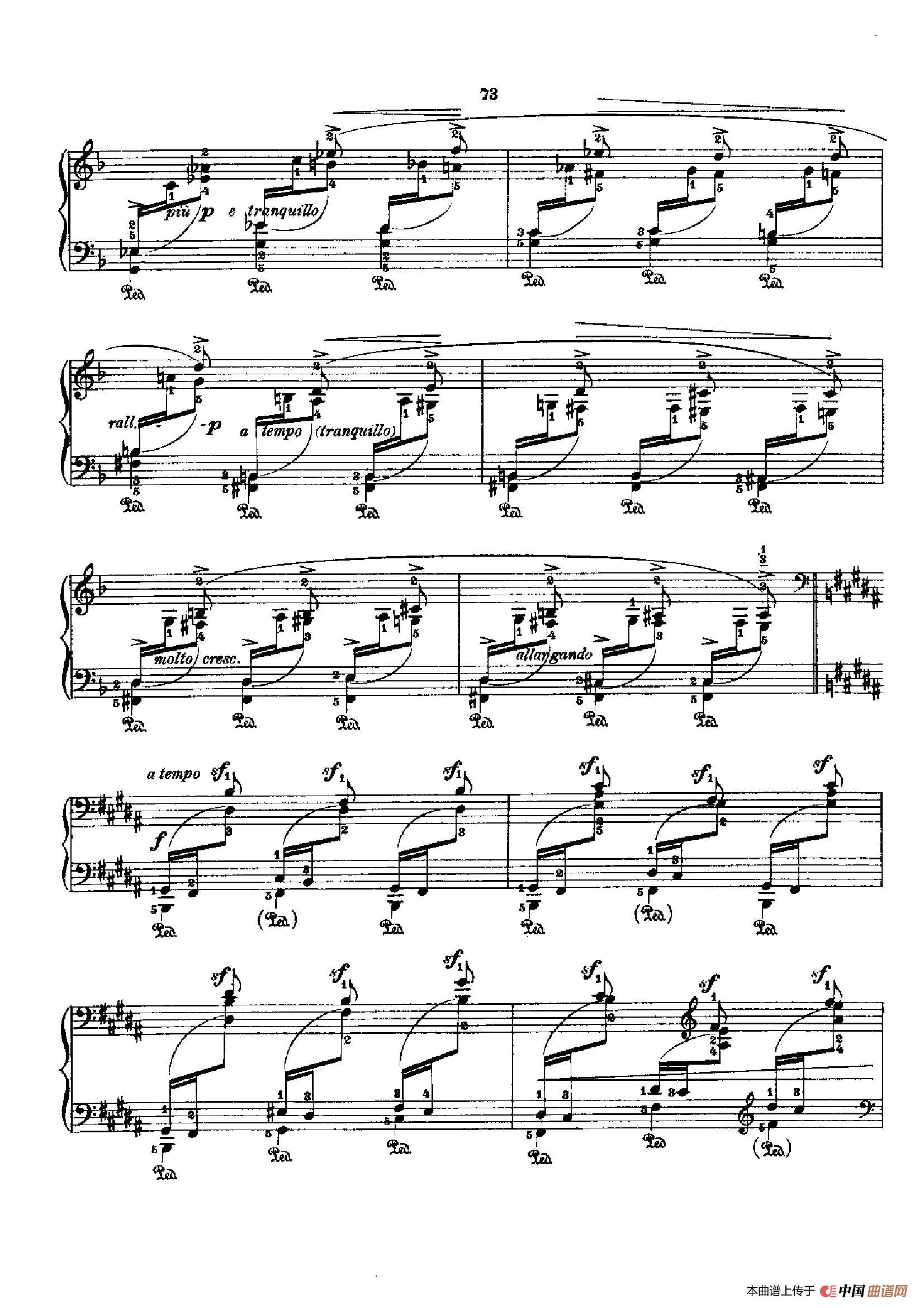 53首以肖邦练习曲为素材而作的练习曲（No.30）