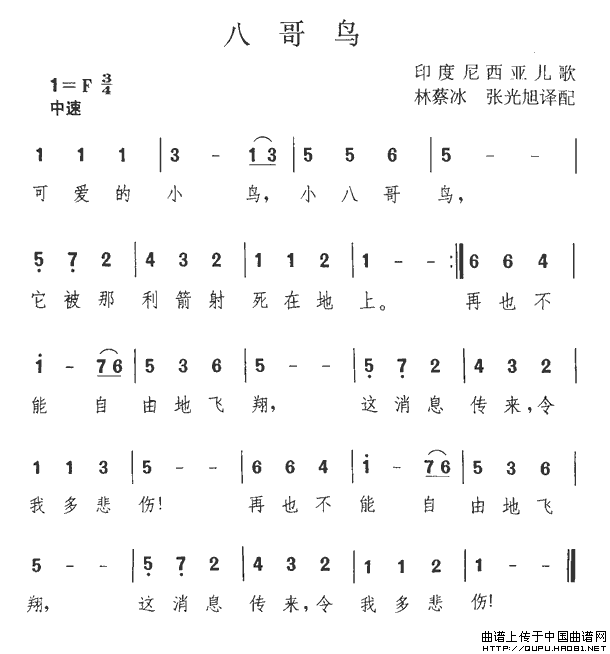 八哥鸟（印尼）