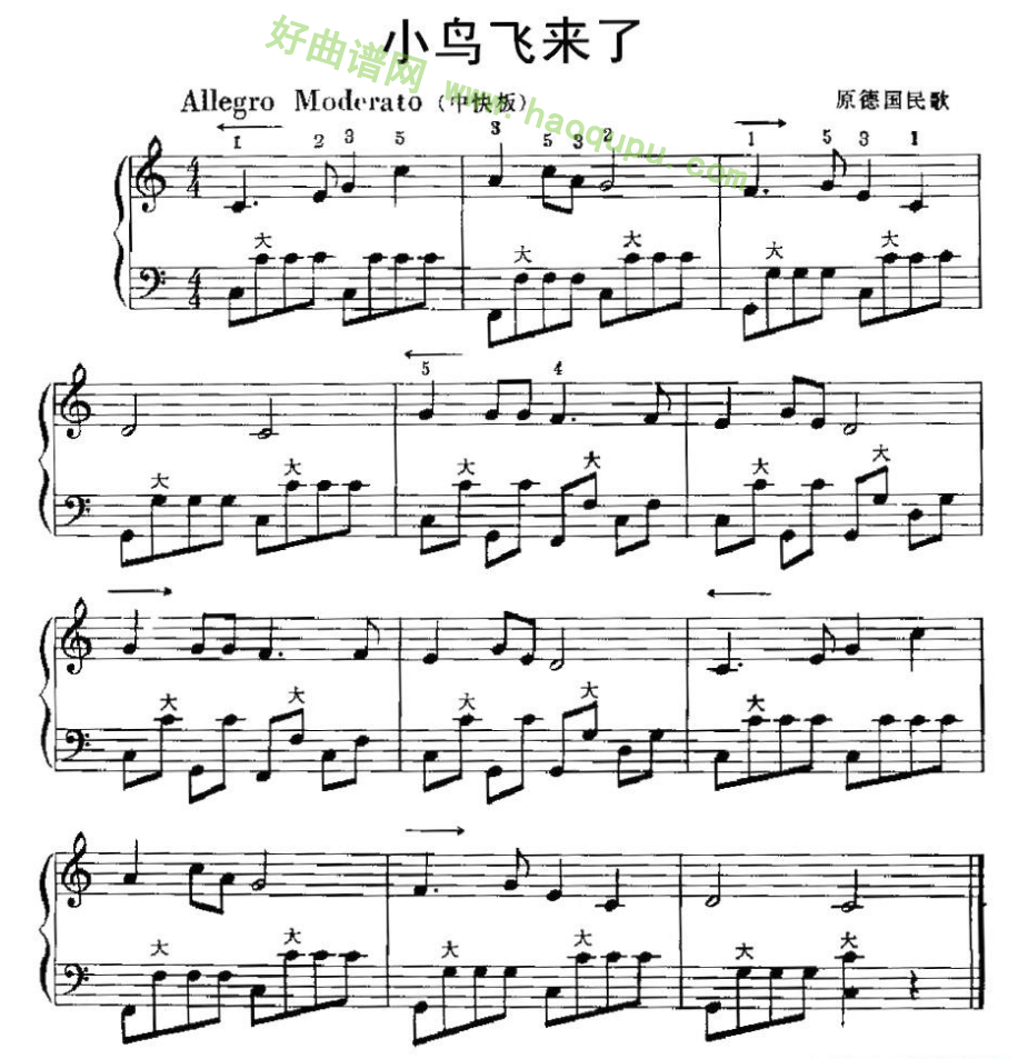 《小鸟飞来了》 手风琴曲谱