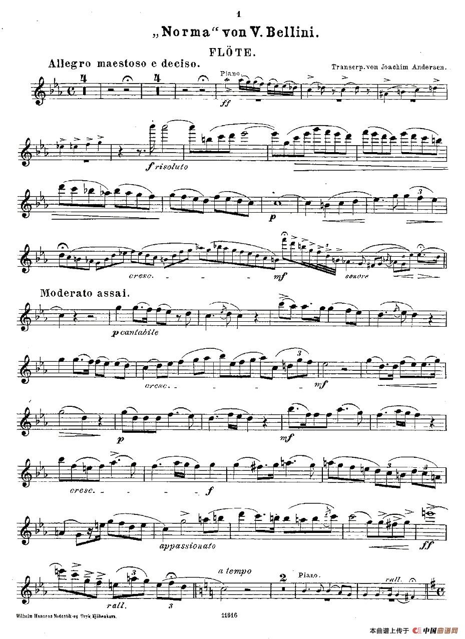 Opern-Transcriptionen.Op.45-2（长笛+钢琴伴奏）