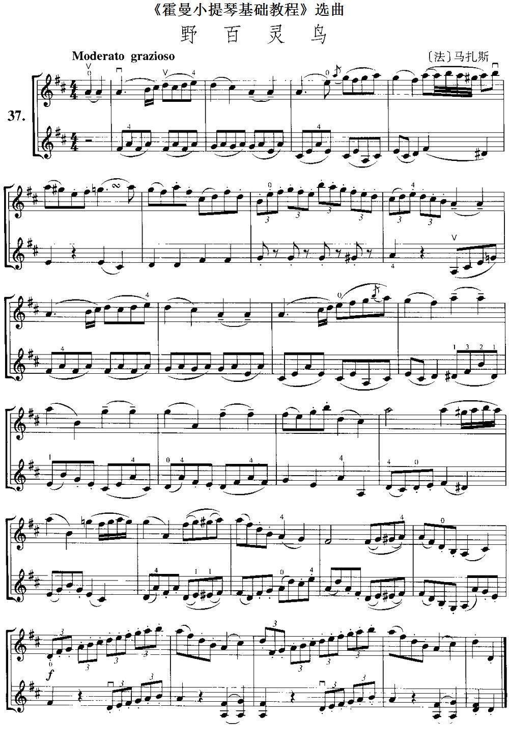 《霍曼小提琴基础教程》选曲：野百灵鸟（[法]马扎斯曲 [法]马扎斯词）