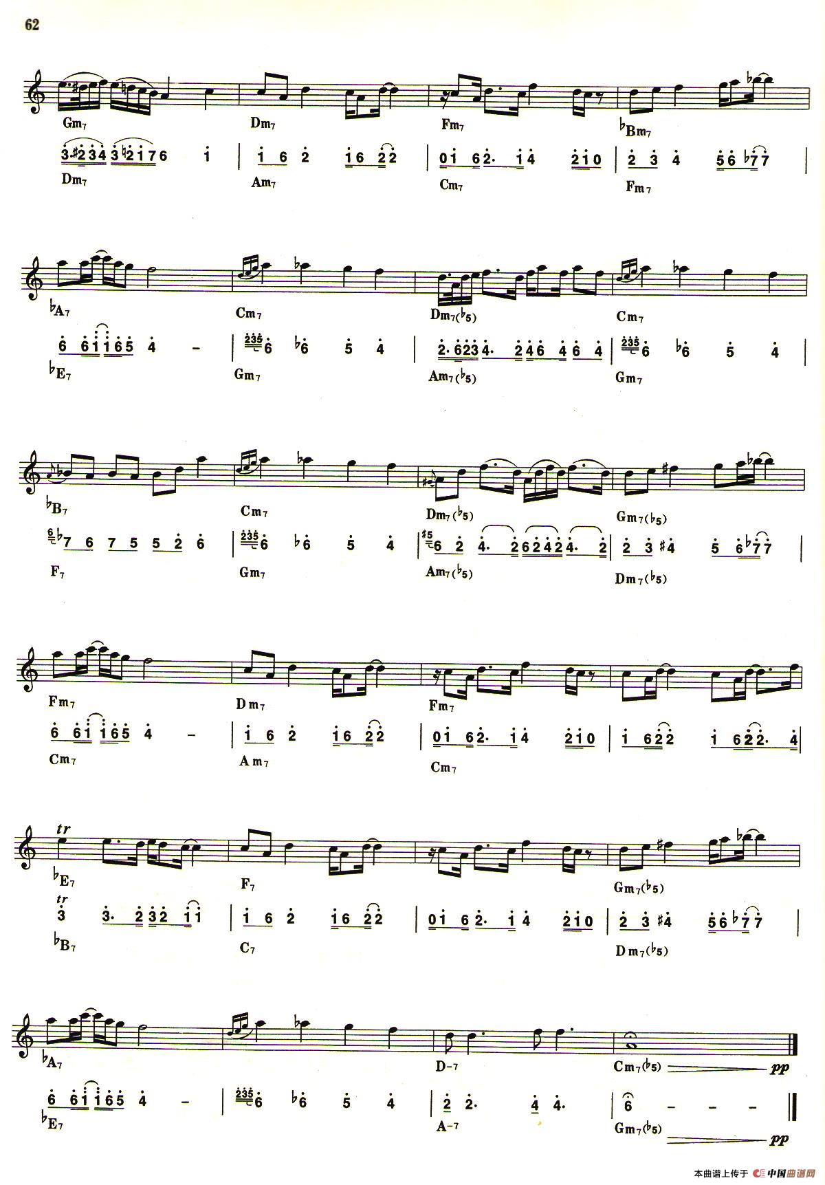 野猫布鲁斯（线简谱对照版）