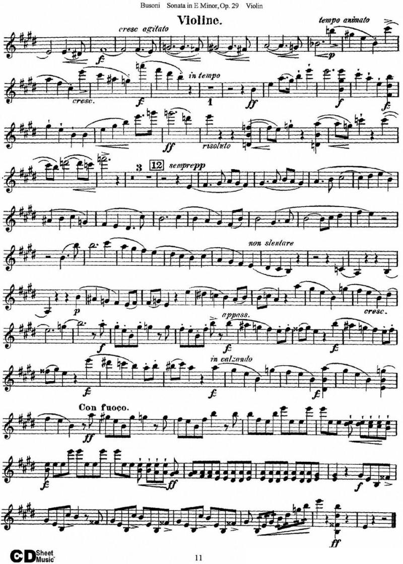 Violin Sonata No.1 in E Minor Op.29