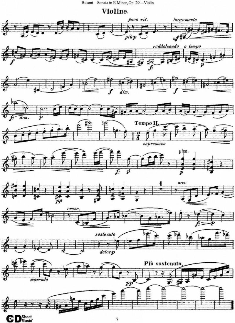 Violin Sonata No.1 in E Minor Op.29