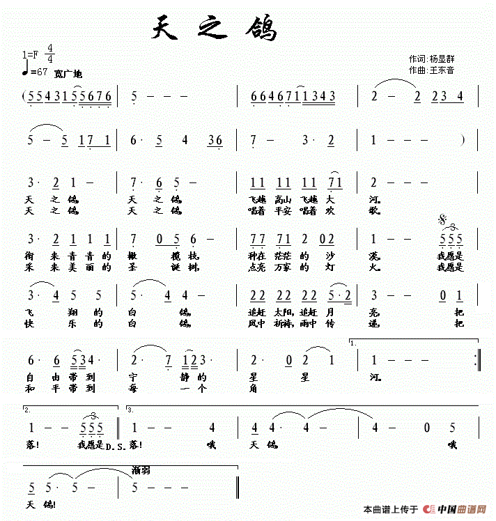 天之鸽