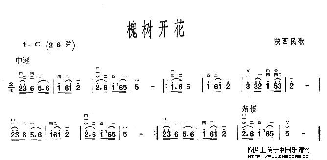 曲谱名：槐树开花二胡谱