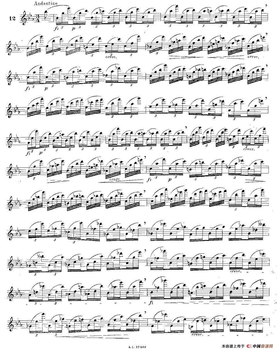 12首大技巧练习曲之12长笛谱