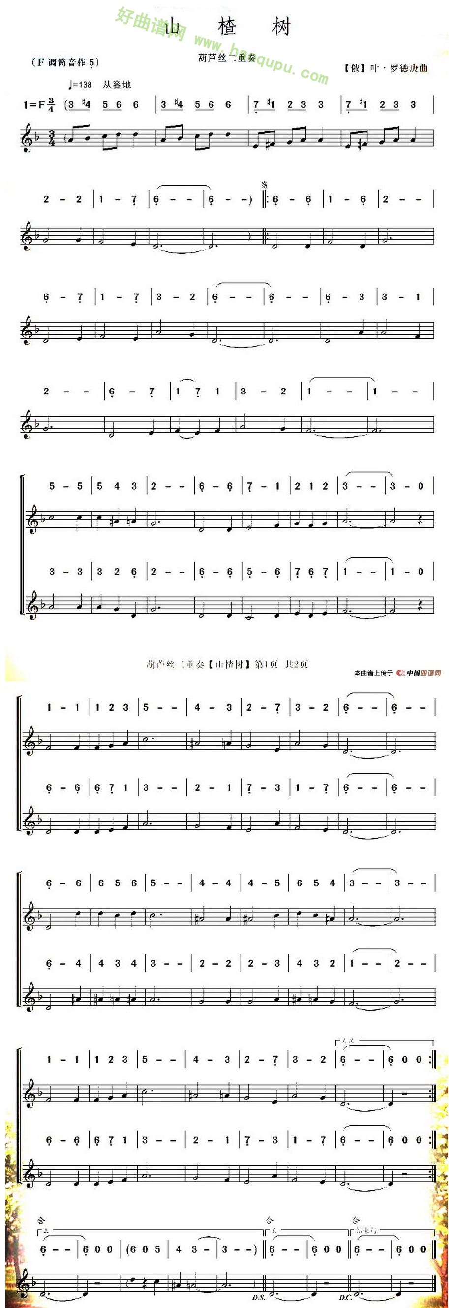 《山楂树》（葫芦丝二重奏、线简谱混排版）葫芦丝曲谱