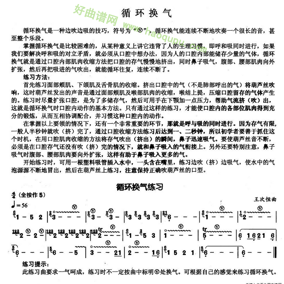 《葫芦丝练习曲循环换气）葫芦丝曲谱