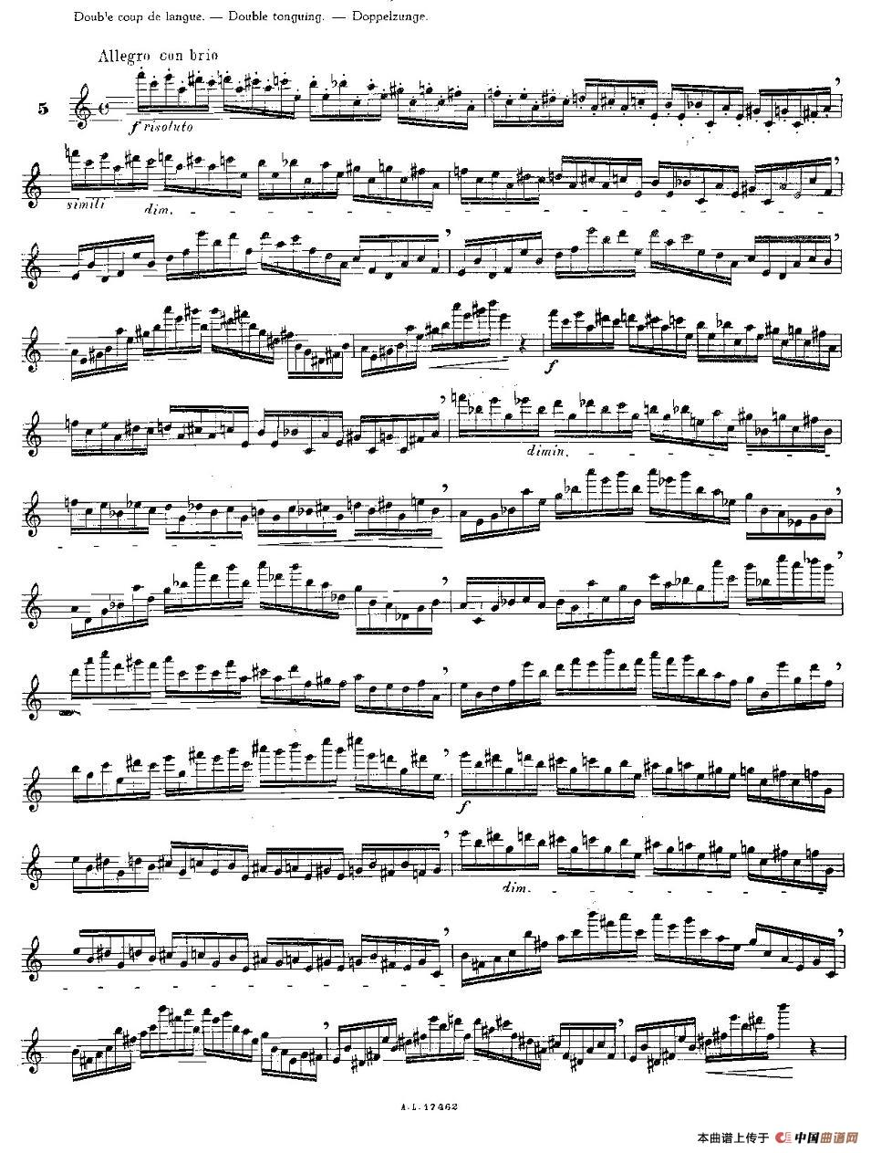 12首大技巧练习曲之5长笛谱